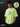 Neon Lime Graphic RoundNeck Tee – A Surprise For You